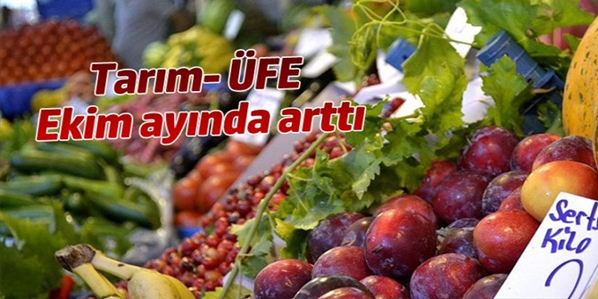 Tarım- ÜFE Ekim Ayında %1,70 Arttı