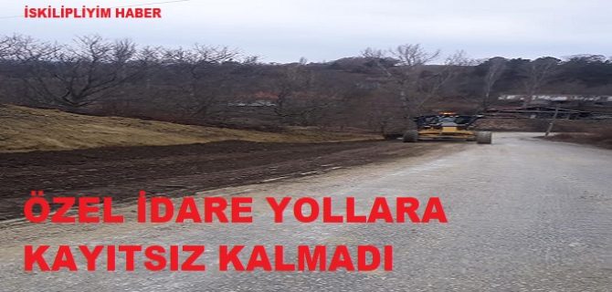 Yanoğlan Köyü Yolu Hemen Yapıldı