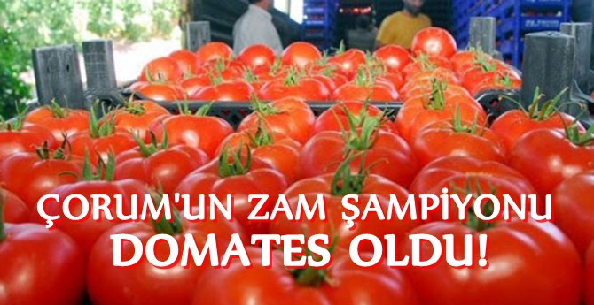 Çorum’da Zam Şampiyonu Domates