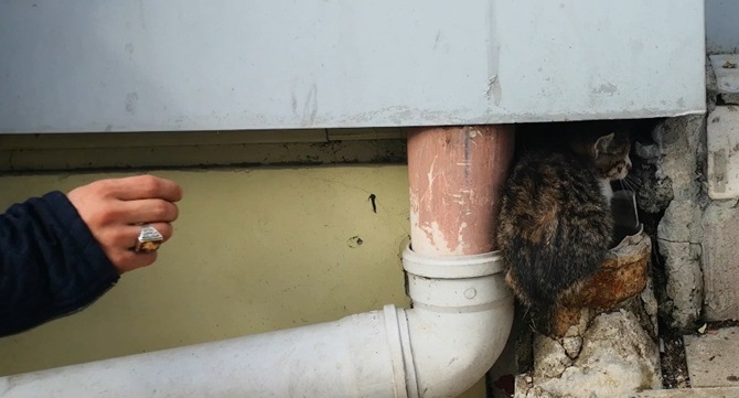 Yavru Kedi Su Borusuna Sıkıştı