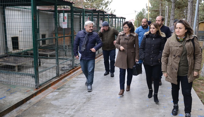 Çorum’u Örnek Aldılar