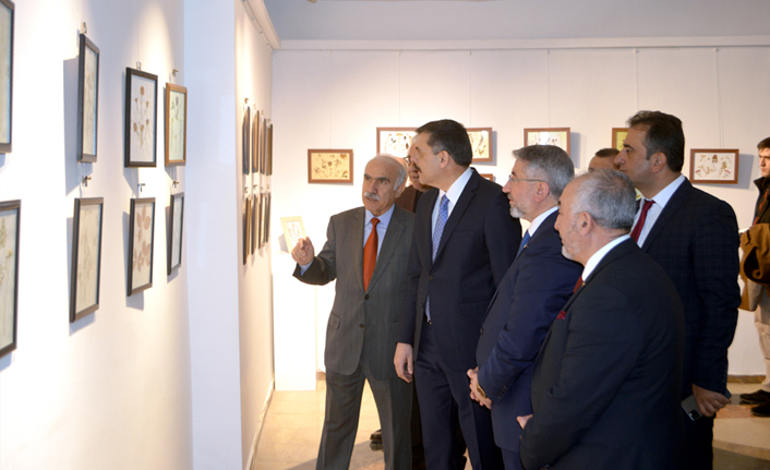 Kurumuş Çiçekler Sergisi Açıldı