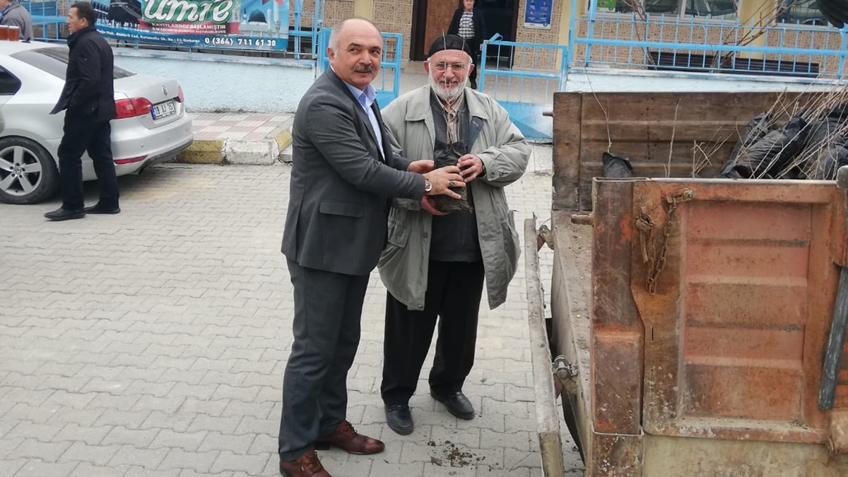 Dodurga’da 1000 Ak Dut Fidanı Dağıtıldı