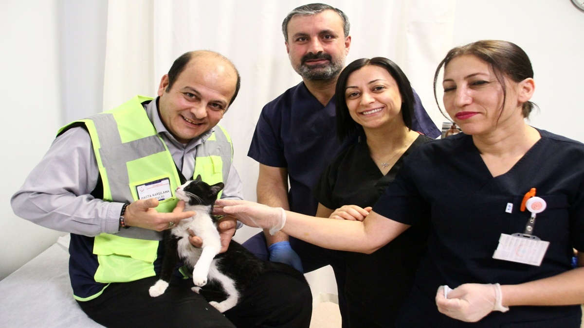 Ayağı Kırık Kedi Acile Sığındı