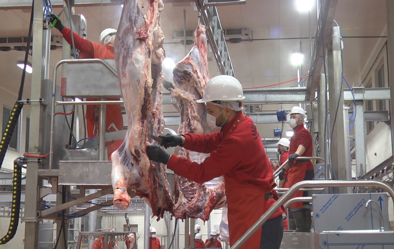 Belediye Adak Kurbanlarını Kesiyor