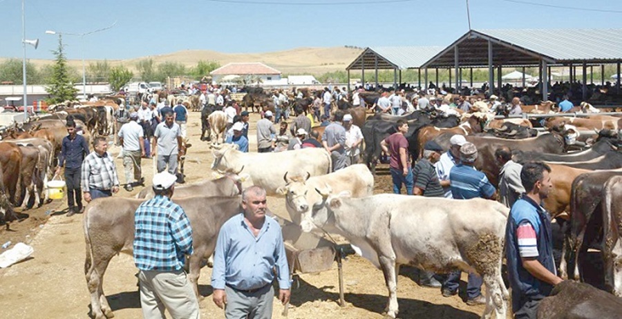 Çorum’da Hayvan Pazarı Kapatıldı