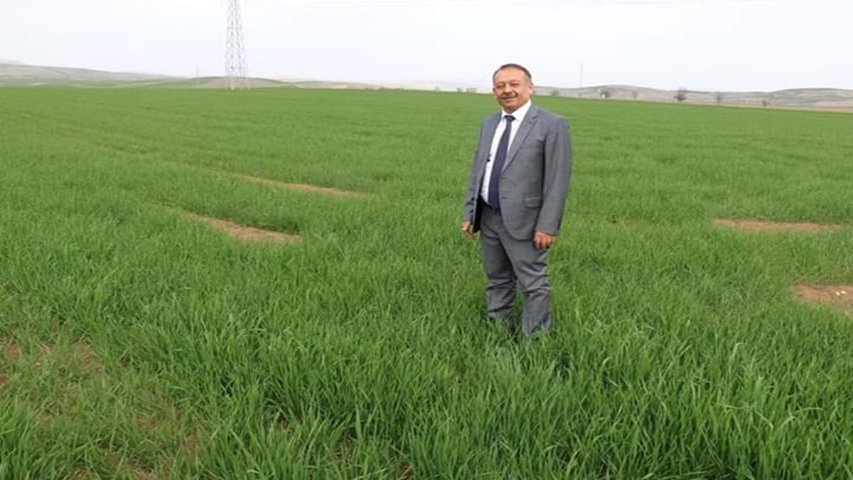 Sarı, Çiftçileri Tarla Farelerine Karşı Uyardı