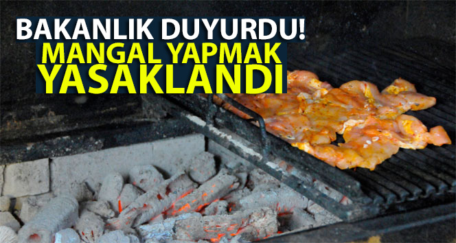 Mangal Yapmak Yasaklandı!