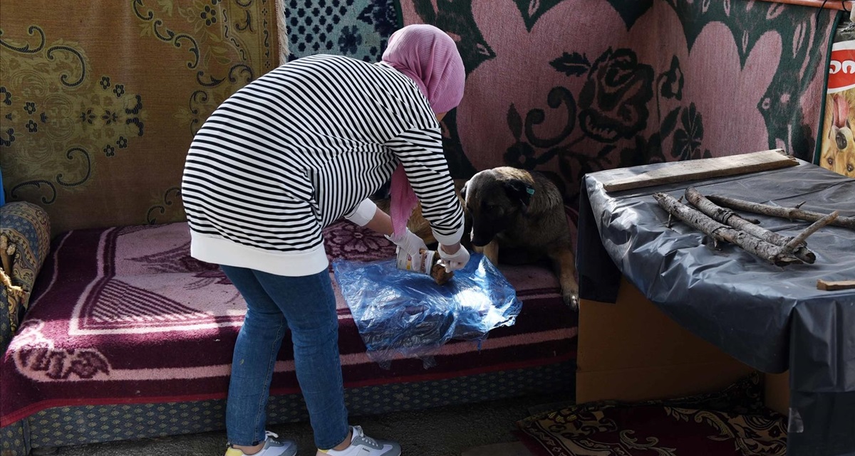 Koruma Altındaki Köpekleri Unutmadılar