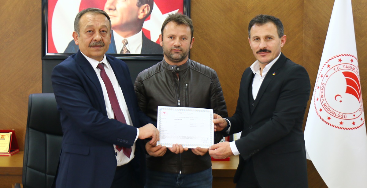 Çorum Hayvancılıkta Ari İşletmeciliği Sevdi