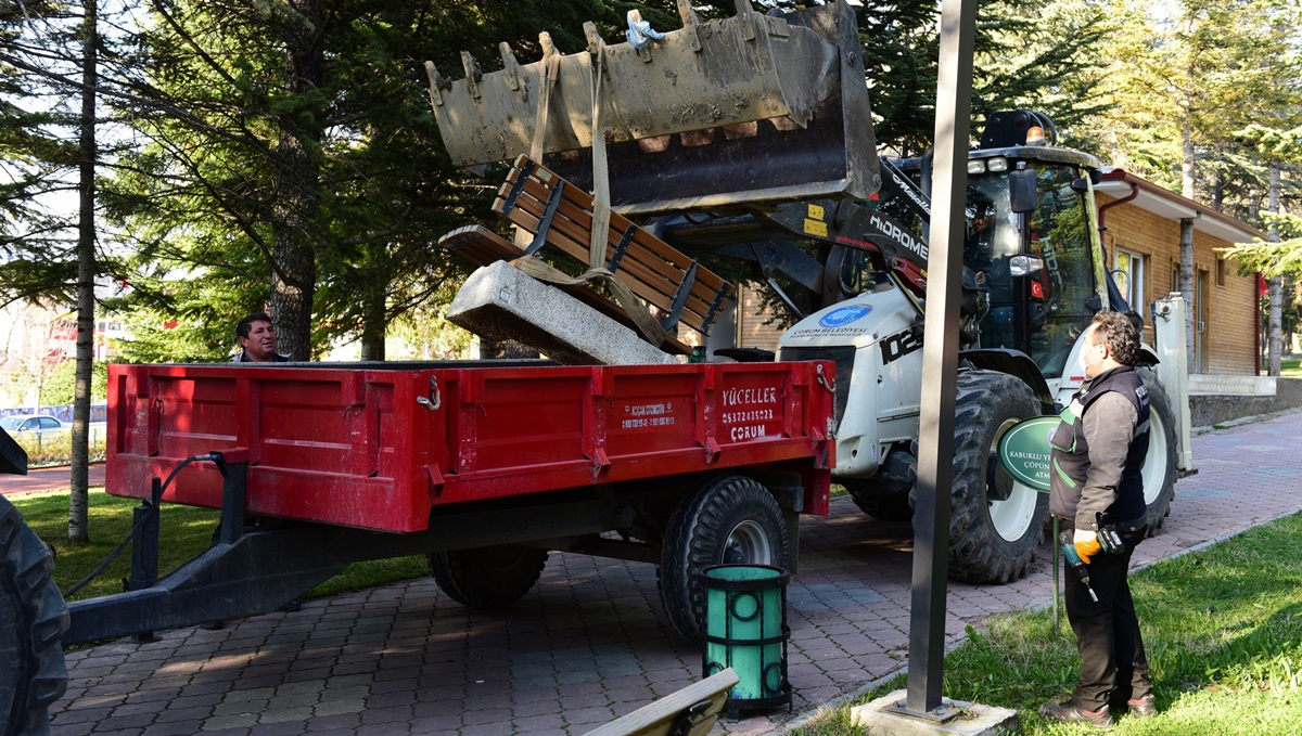 Banklar Kaldırıldı, Kamelyalara Şerit Şekildi