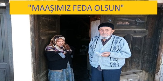 Ulu Çınarlardan Destek