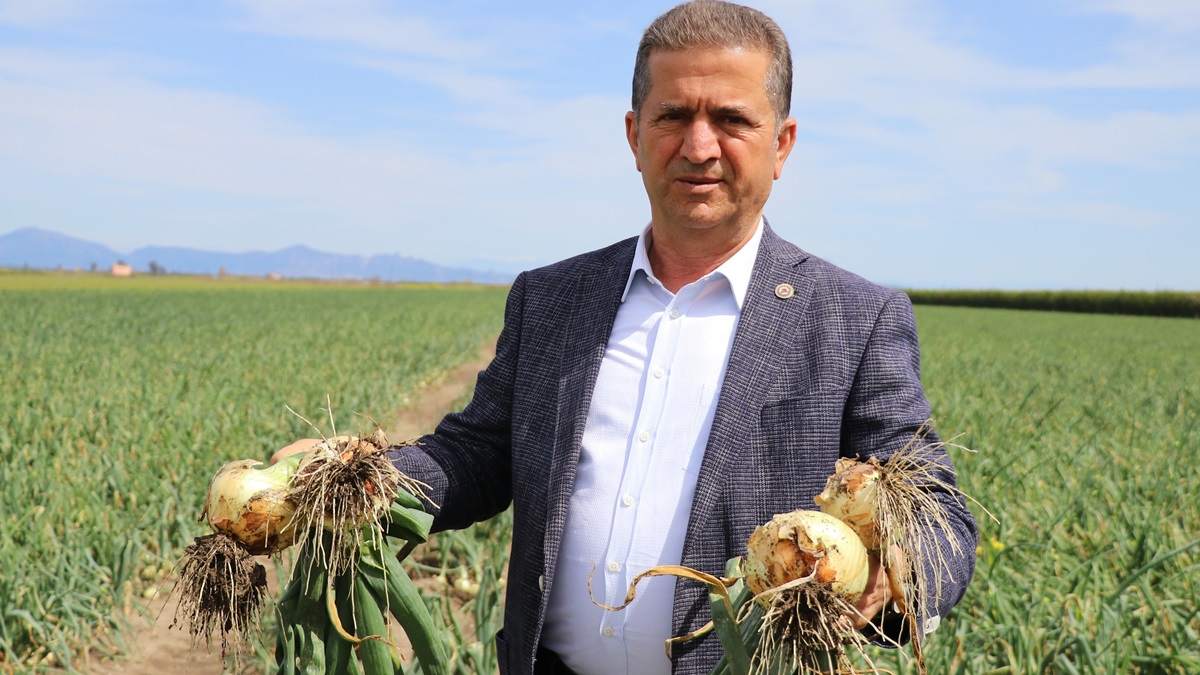 Soğana İhracat İzni Çıkmazsa Fiyatlar Düşecek