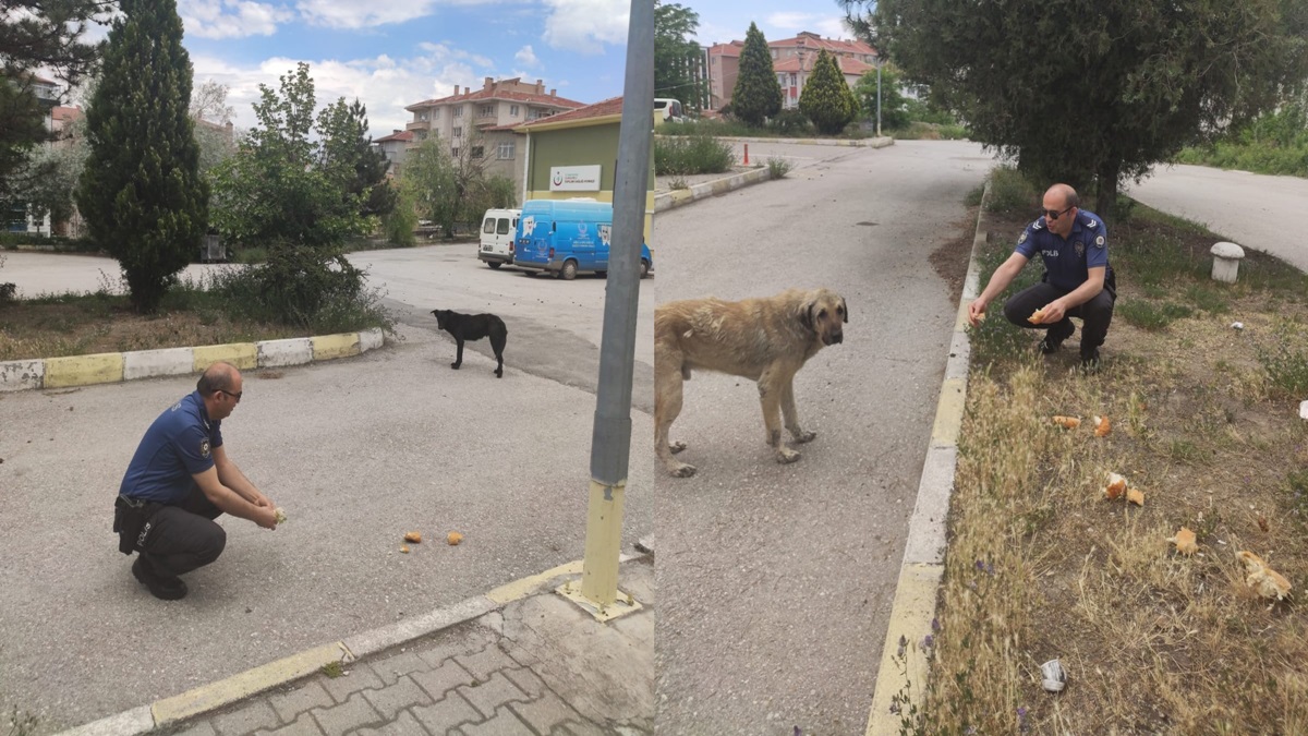 Polisler Sokak Hayvanlarını Besledi