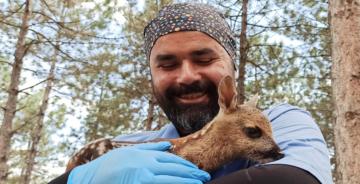 Hayvan Barınağının Maskotu Oldu