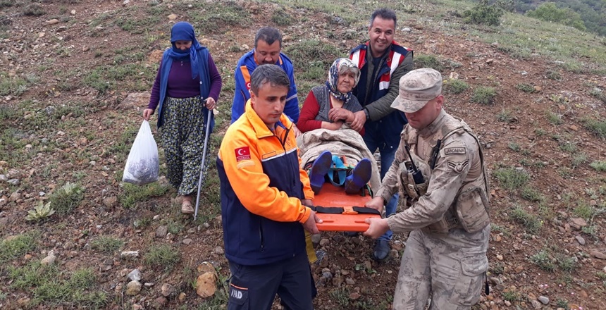 Kaybolan Yaşlı Kadın Ormanda Bulundu