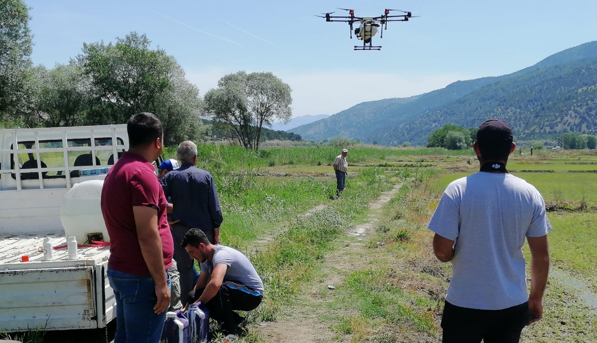 Tarlalarını Drone’larla İlaçlıyor