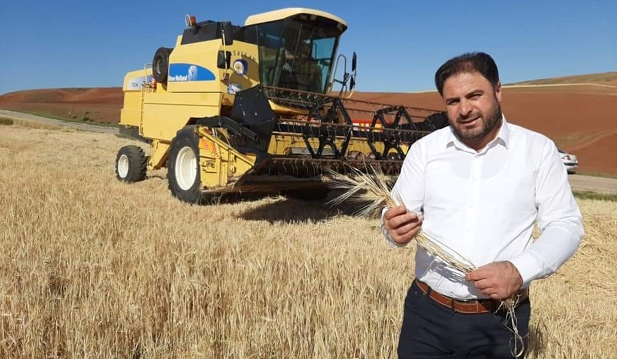 Sungurlu TMO Buğday Alımına Başlıyor