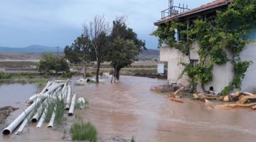 Sağanak Yağış Çeltik Tarlalarını Vurdu
