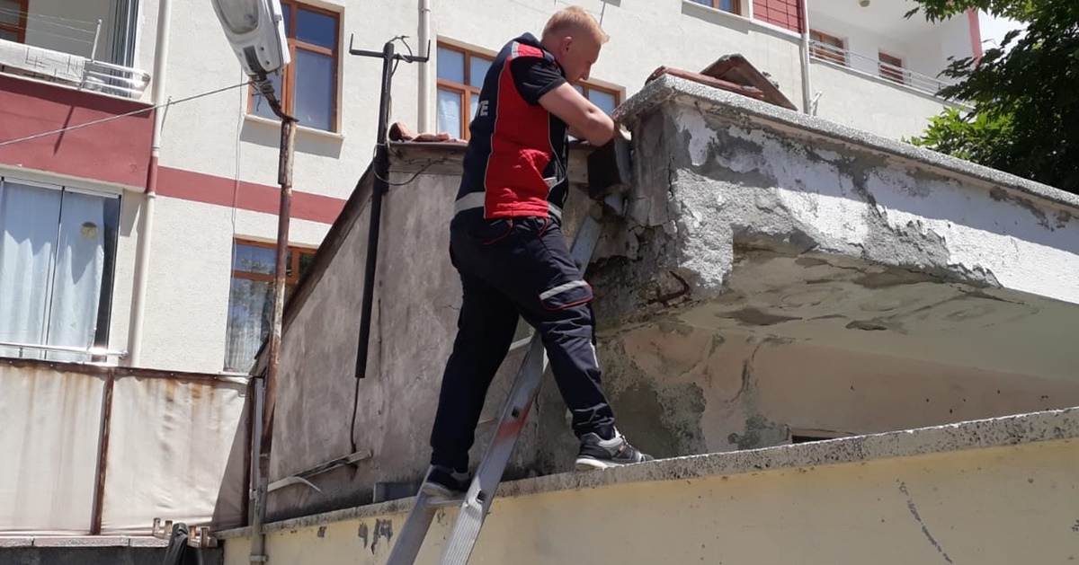 Mahsur Kalan Ebabil Kuşunu İtfaiye Kurtardı