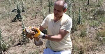 Kızıl Şahin’i Boğulmaktan Kurtardı