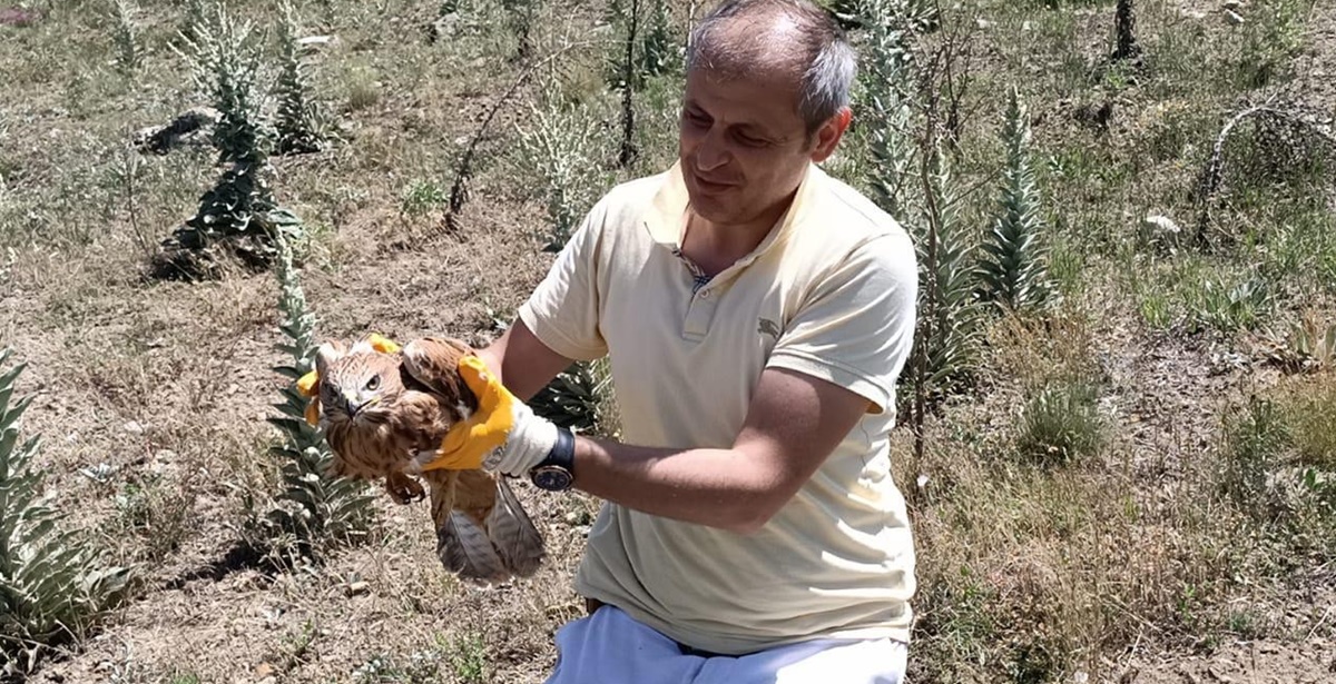 Kızıl Şahin’i Boğulmaktan Kurtardı