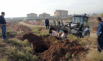 Millete Mundar Et Yedireceklerdi