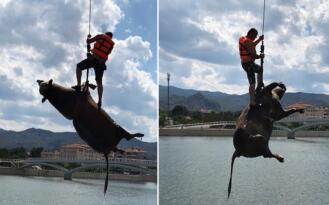 Vinçle Çıkardılar