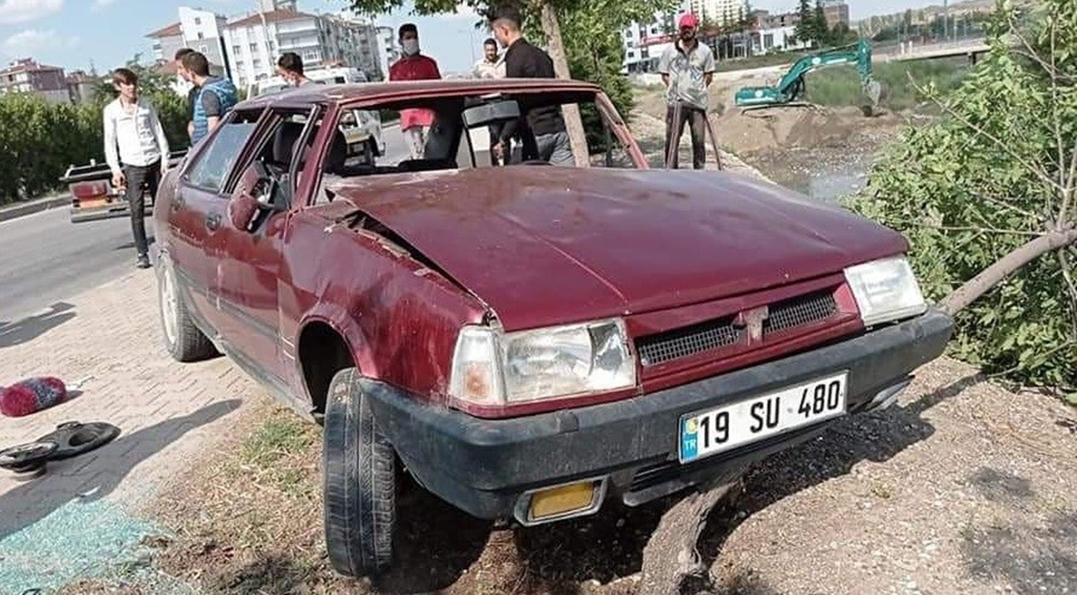 Dereye Uçmaktan Ağaç Kurtardı