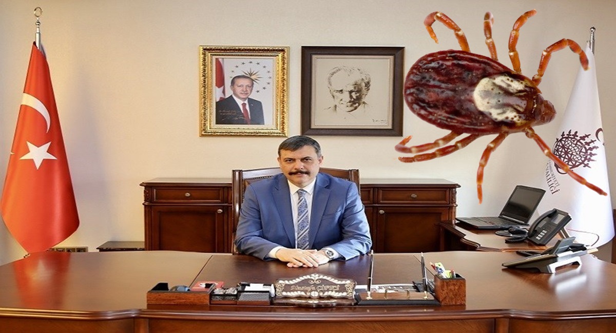 Çorum’da Keneden 2 Kişi Hayatını Kaybetti