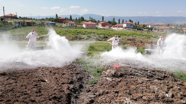 Belediye Sinekle Mücadelede Tedbirli