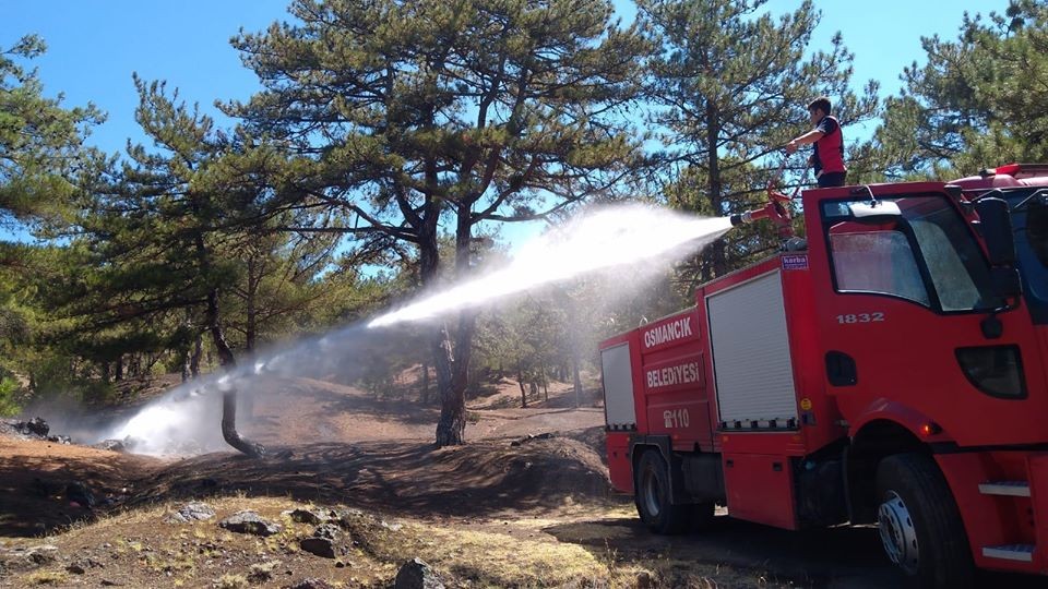 Büyümeden Söndürüldü