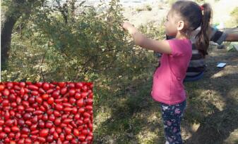 Yiyen Doktor Yüzü Görmüyor