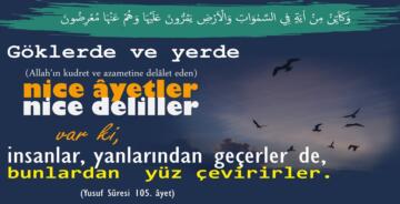 Düşünüp, Akıl Etmezmisiniz?