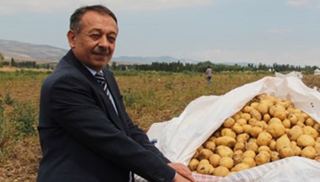 Çorum’da Patates Hasadına Başlandı