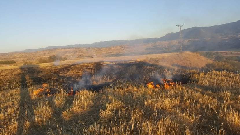 Dodurga’da Anız Yangını Korkuttu
