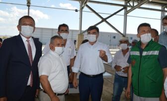 Damızlık Koç Dağıtıldı