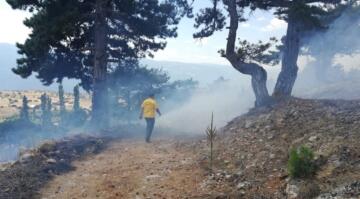 Günyazı Köyü’nde Orman Yangını