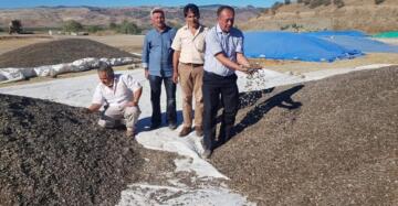 Çorum’da Ayçiçek Yetiştiriciliği Artıyor