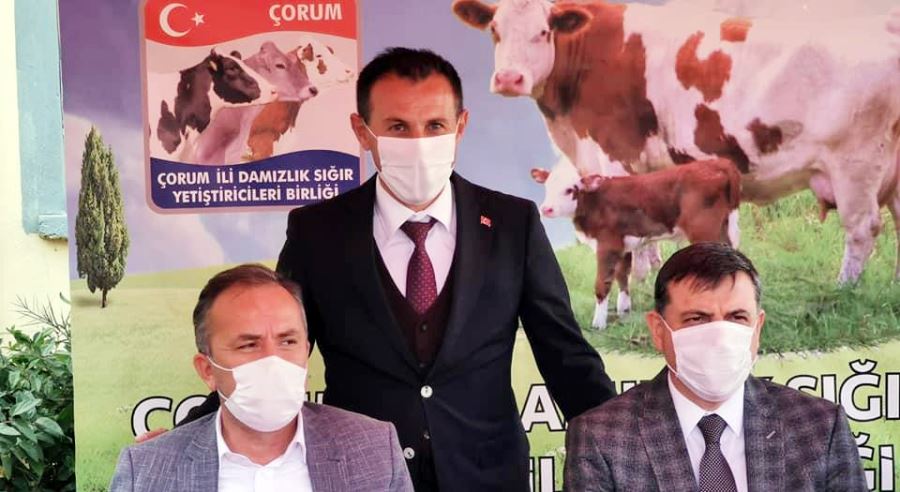 DSYB’den Kadın İstihdamına Destek