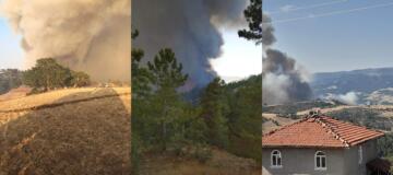 İskilip’te Orman Yangını