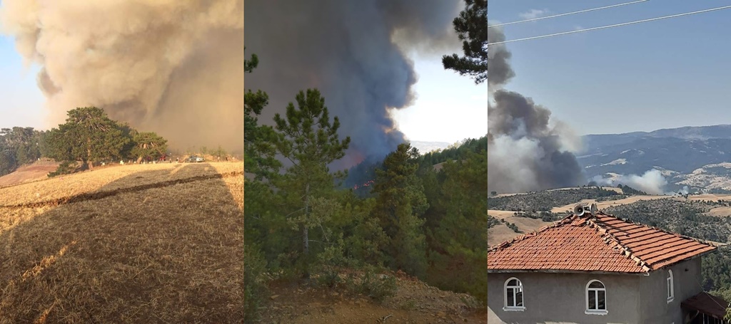 İskilip’te Orman Yangını