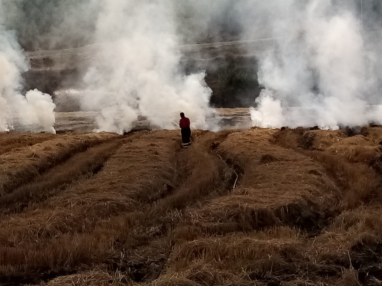 Osmancık’ta Anız Yangını