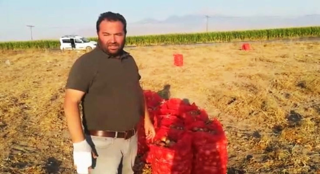 Çorum Soğanına Rakip Oldular