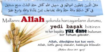 Allah Yolunda İnfak