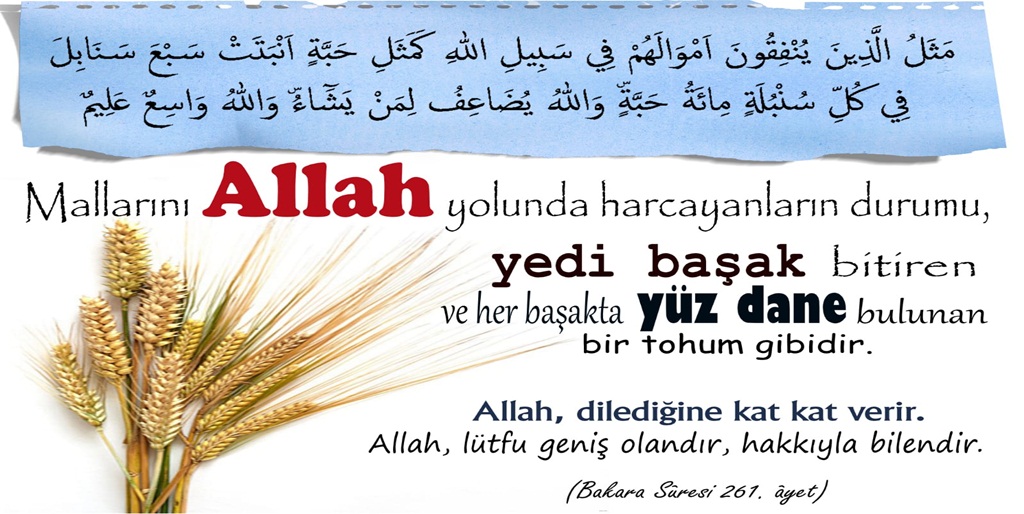 Allah Yolunda İnfak