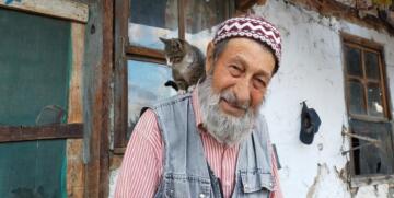 Sahipsiz Kedilerin Gönüllü Bakıcısı