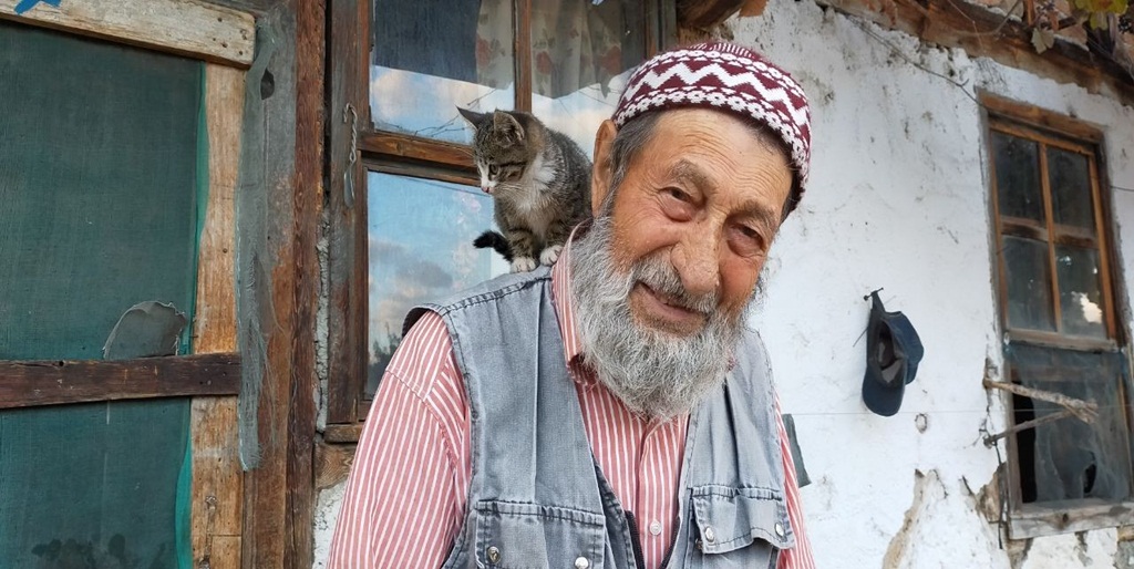 Sahipsiz Kedilerin Gönüllü Bakıcısı