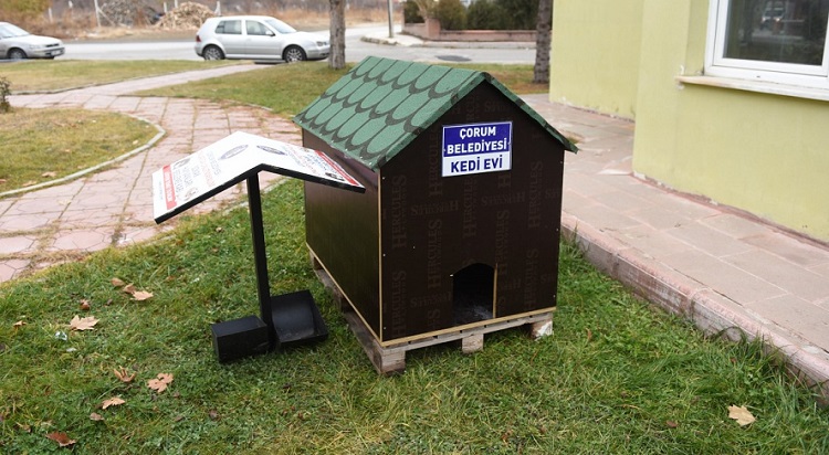 Başkan Kedi Evleri Yaptırdı