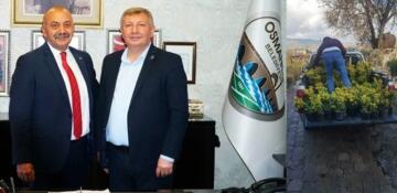 Osmancık’tan Ortaköy’e Taflan Bitkisi !